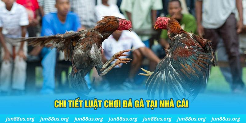 Chi tiết luật thi đấu thể loại đá gà tại nhà cái