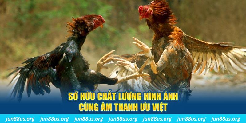 Sở hữu chất lượng hình ảnh cùng âm thanh ưu việt