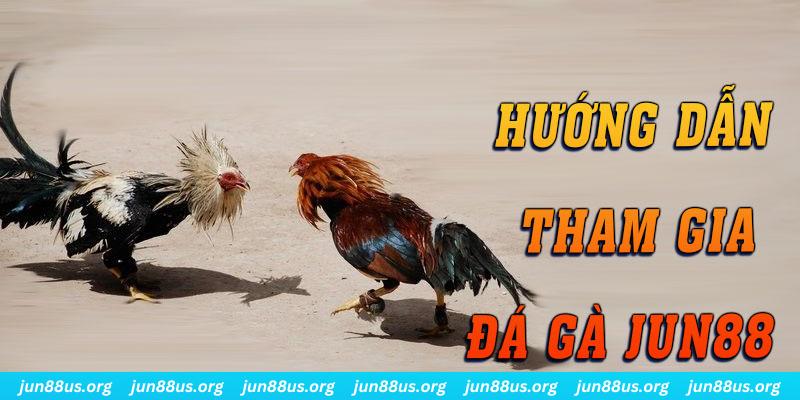 Hướng dẫn tham gia một cách chi tiết, an toàn