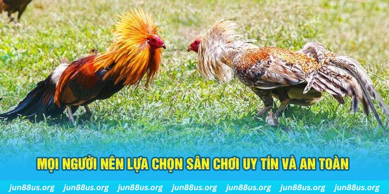 Mọi người nên lựa chọn sân chơi uy tín và an toàn