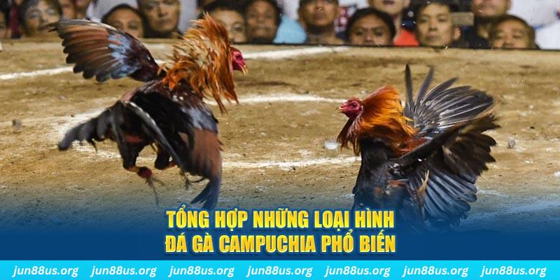 Tổng hợp những loại hình đá gà Campuchia phổ biến